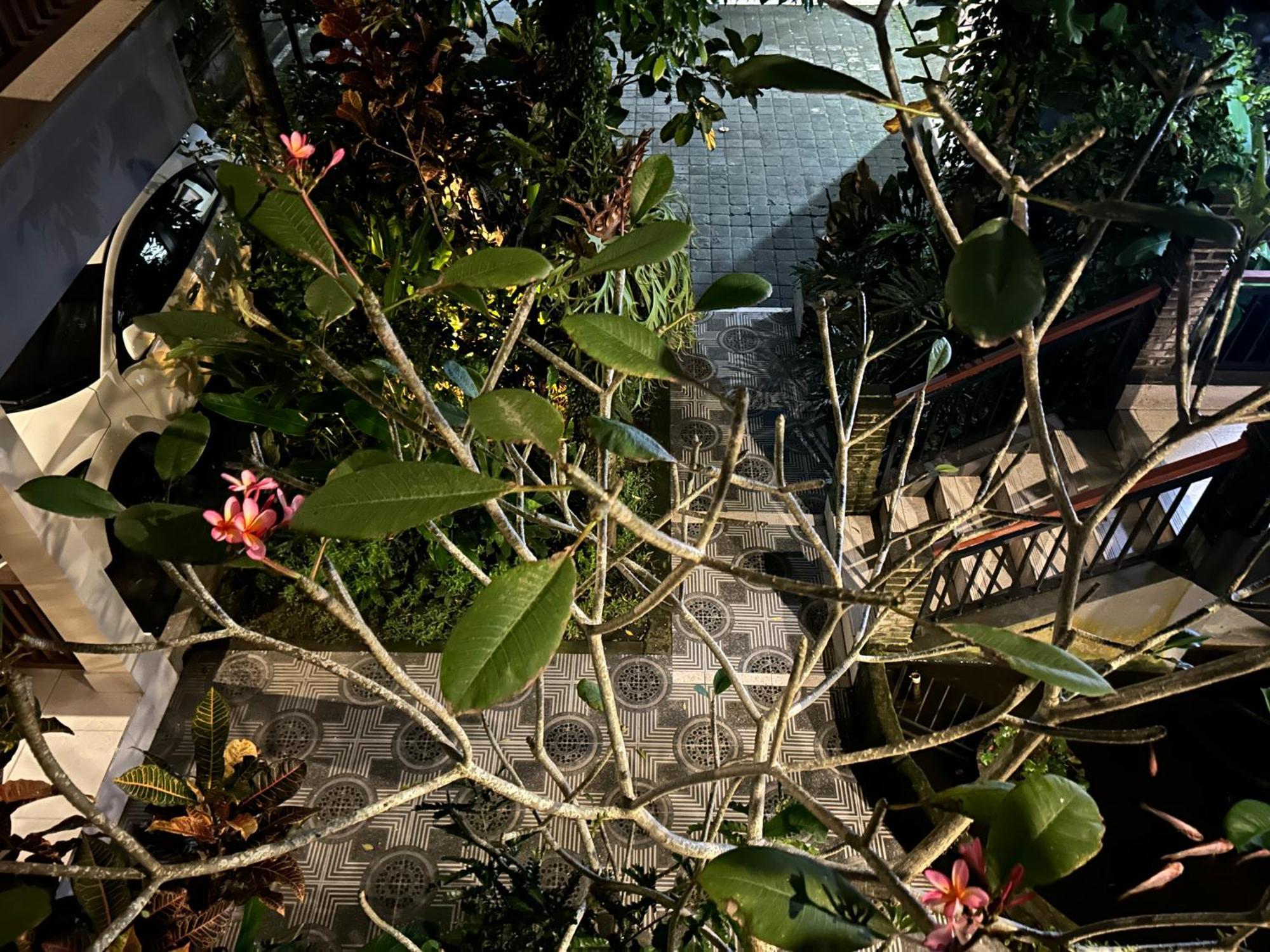 Balimas Guest House Ubud Esterno foto